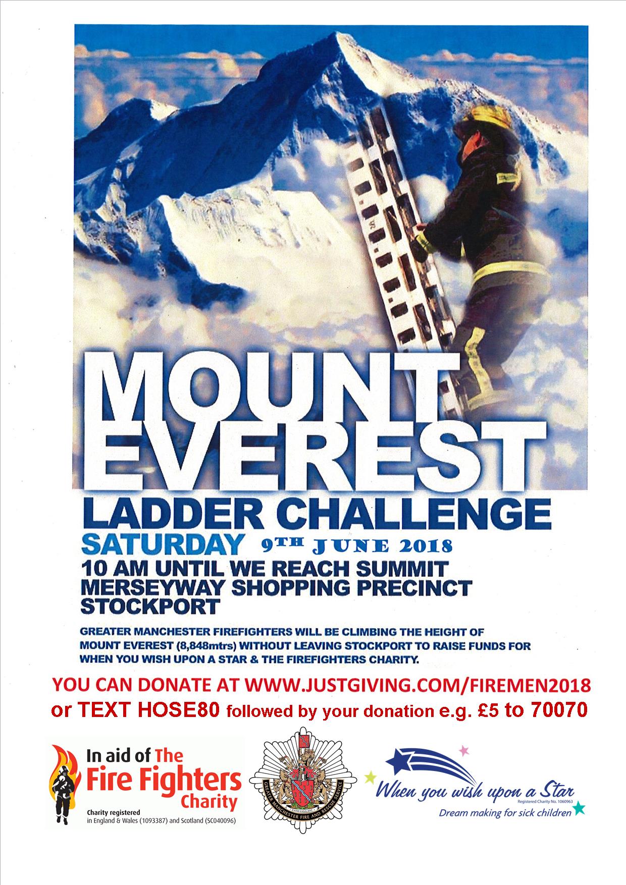 Ladder challenge