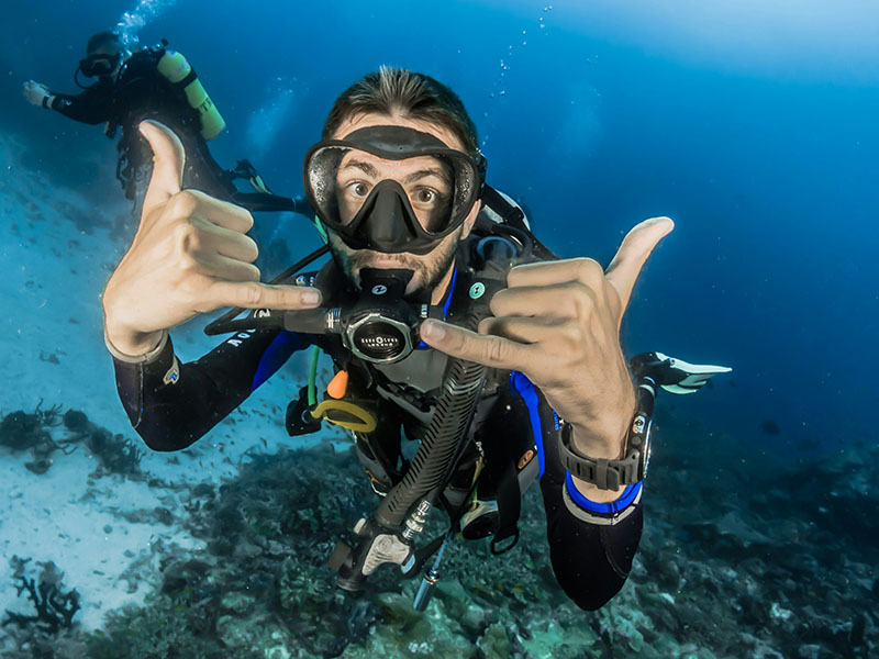 Shark Dive