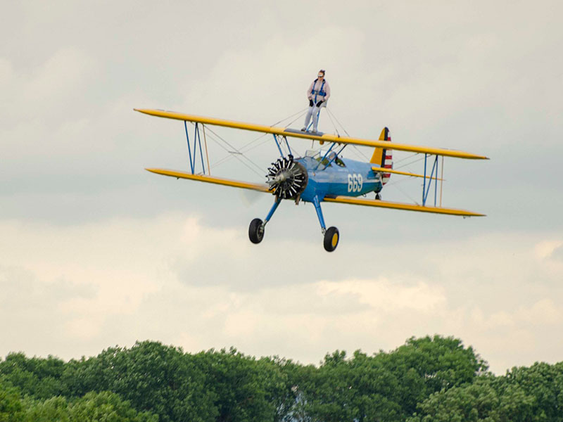 Wing Walks